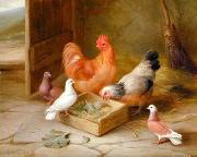 unknow artist Poultry 093 Sweden oil painting artist